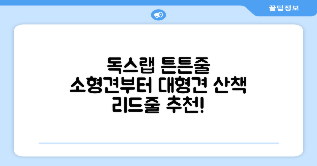 독스랩 1.5m 2m 3m 5m 스트롱 로프 소형견 중형견 대형견 줄 강아지 리드줄 산책줄, 블랙, 1개 추천 리뷰