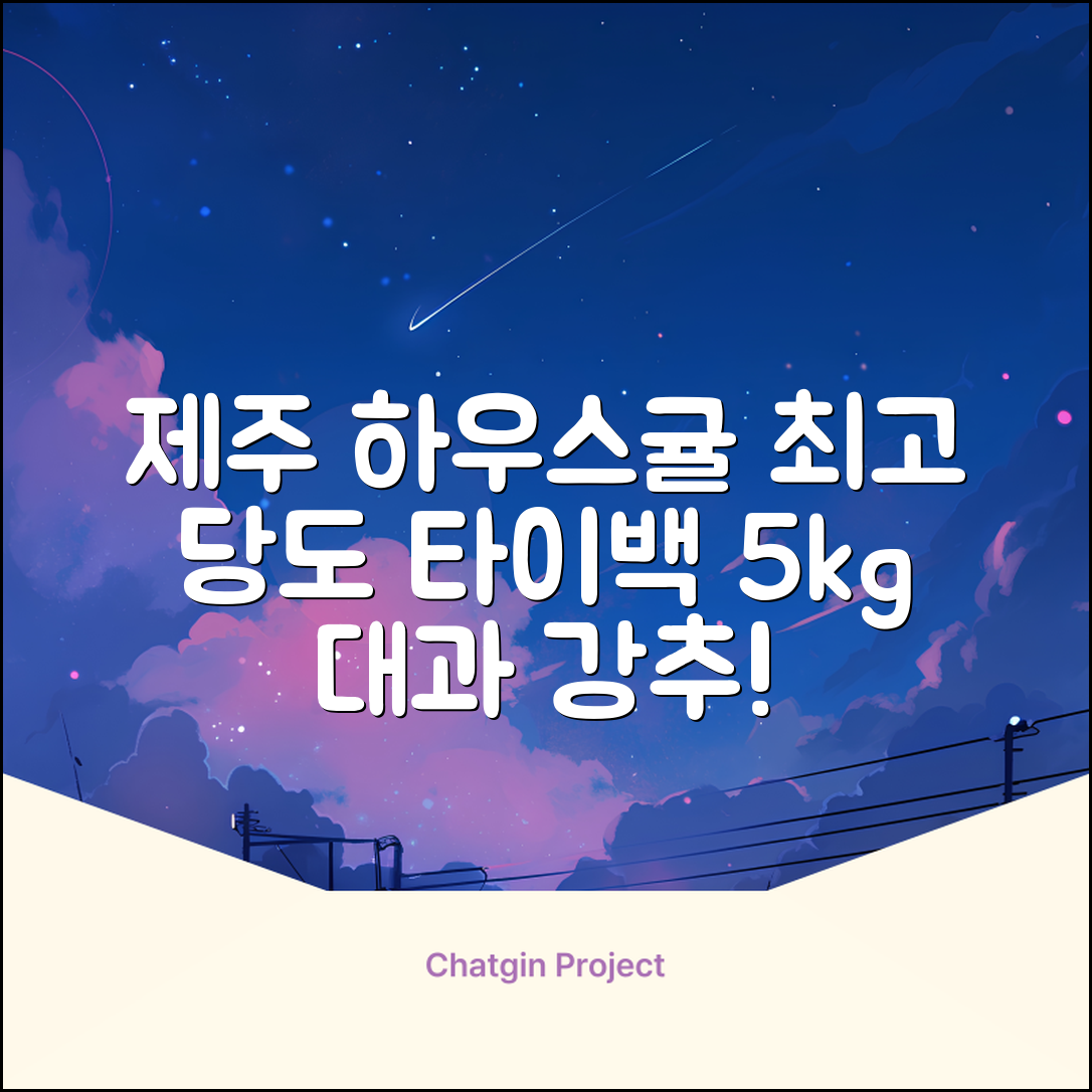 [산지당도선별] 제주 명품 하우스 귤 타이백 감귤, 1박스, 5kg 대과 추천 리뷰