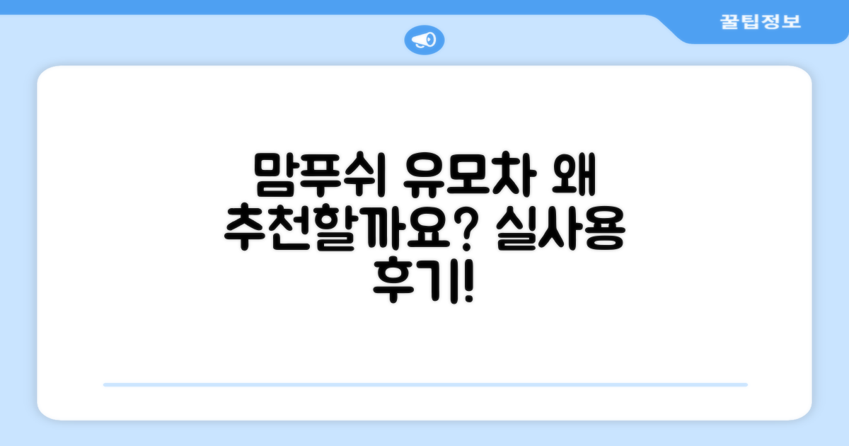 맘푸쉬 유모차, 왜 추천할까요?