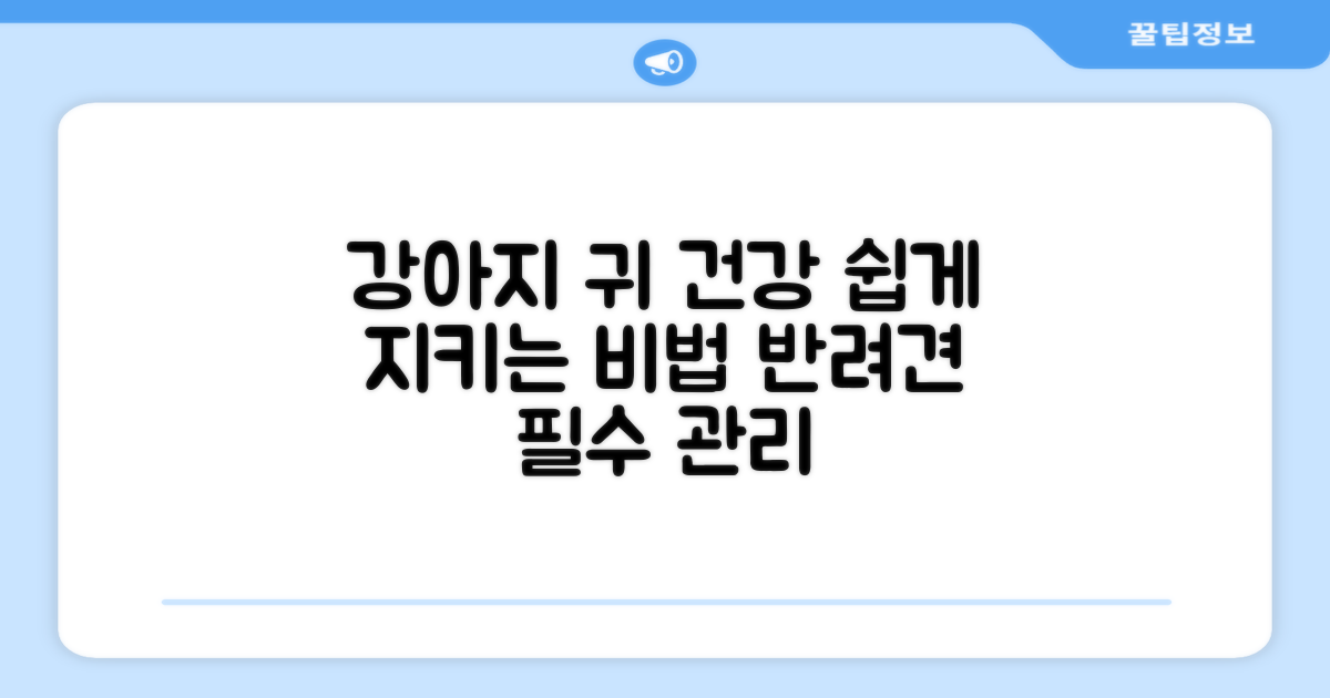 강아지 귀 건강, 손쉽게 지켜주세요