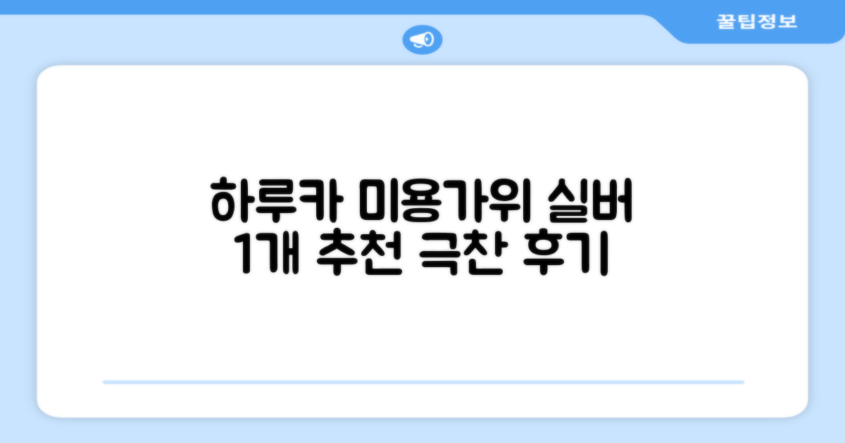 하루카 미용가위 세트, 실버, 1개 추천 리뷰