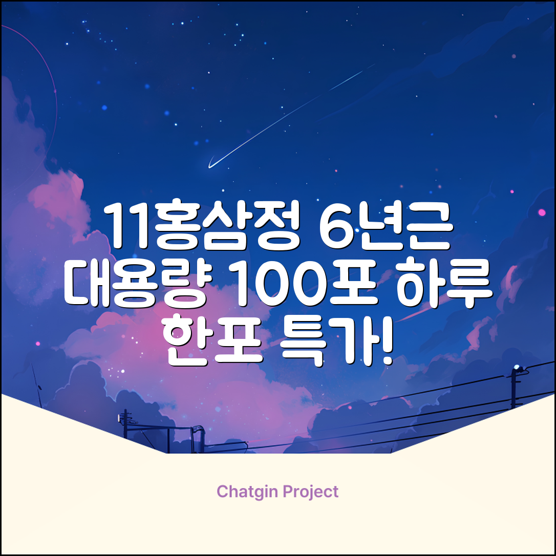 [1+1 특가] 홍삼정 6년근 하루한포 100회분 대용량+쇼핑백, 2개, 1L 추천 리뷰