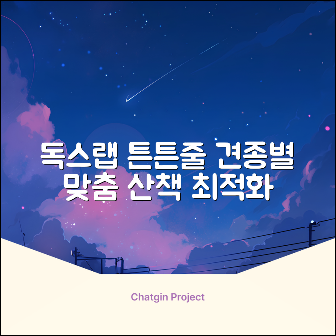 독스랩 1.5m 2m 3m 5m 스트롱 로프 소형견 중형견 대형견 줄 강아지 리드줄 산책줄, 블랙, 1개 추천 리뷰