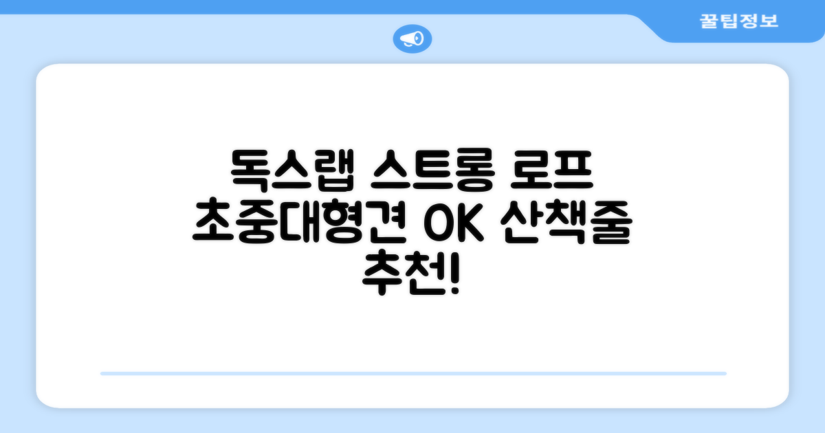 독스랩 1.5m 2m 3m 5m 스트롱 로프 소형견 중형견 대형견 줄 강아지 리드줄 산책줄, 블랙, 1개 추천 리뷰