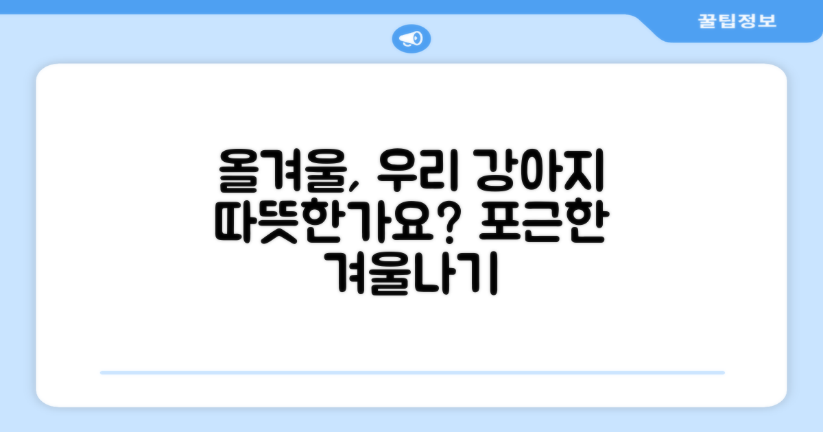 올겨울, 우리 강아지 따뜻할까요?