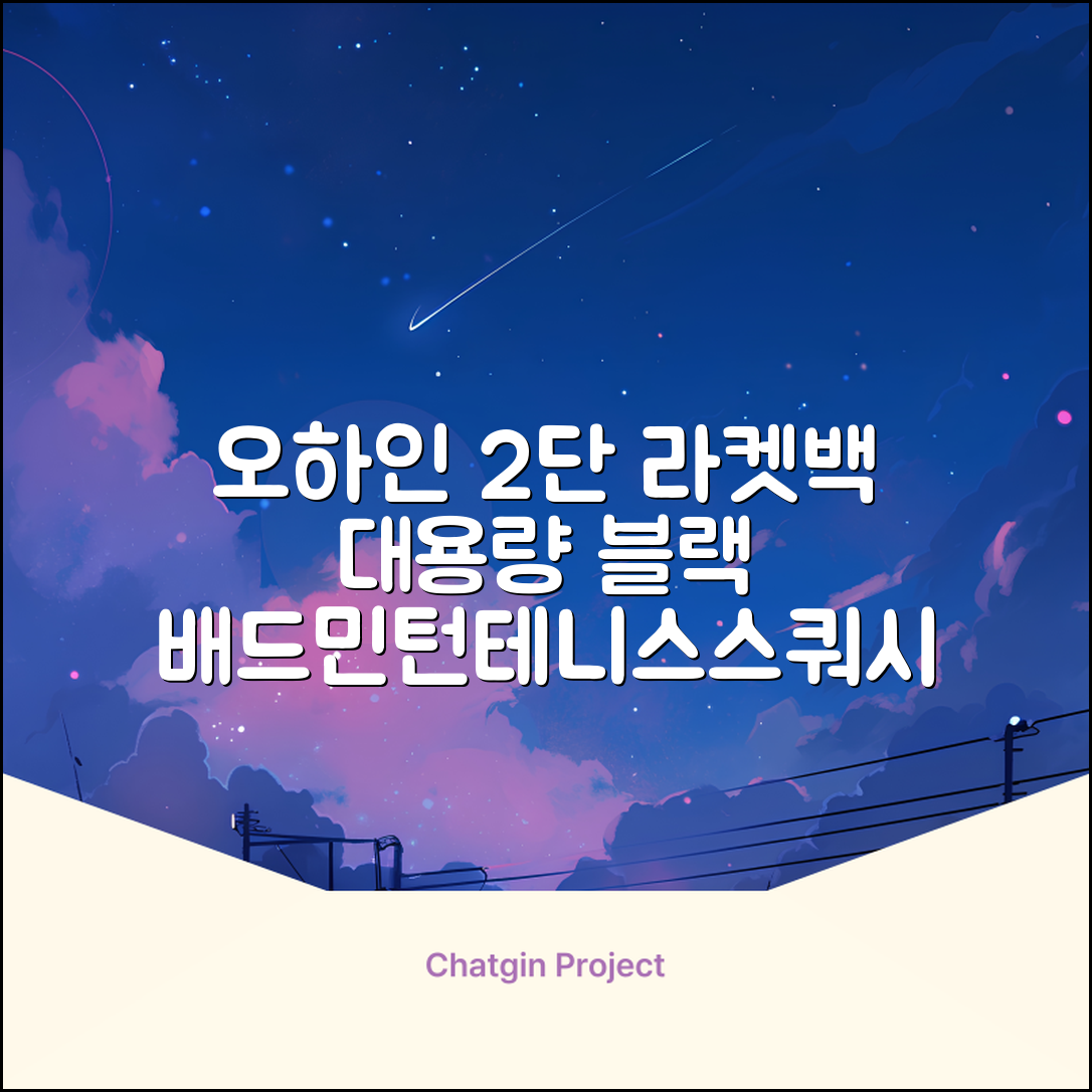 오하인 배드민턴 테니스 스쿼시 2단 대용량 라켓 가방, 블랙, 1개 추천 리뷰