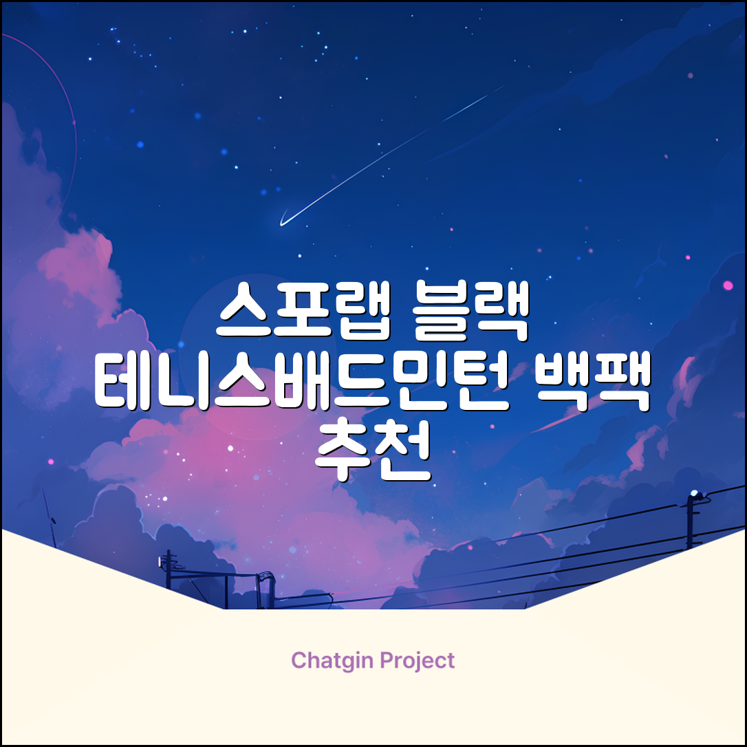 스포랩 테니스 가방 배드민턴 백팩, 블랙, 1개 추천 리뷰