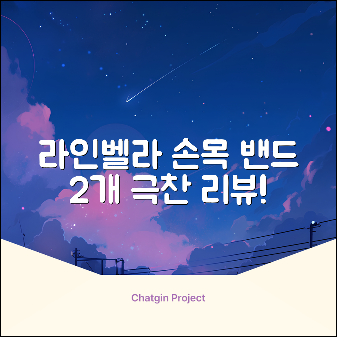 라인벨라 의료용 손목 압박용 밴드 블랙, 2개 추천 리뷰