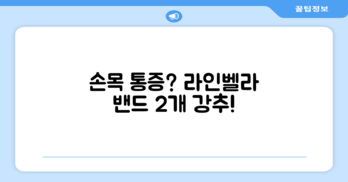 라인벨라 의료용 손목 압박용 밴드 블랙, 2개 추천 리뷰