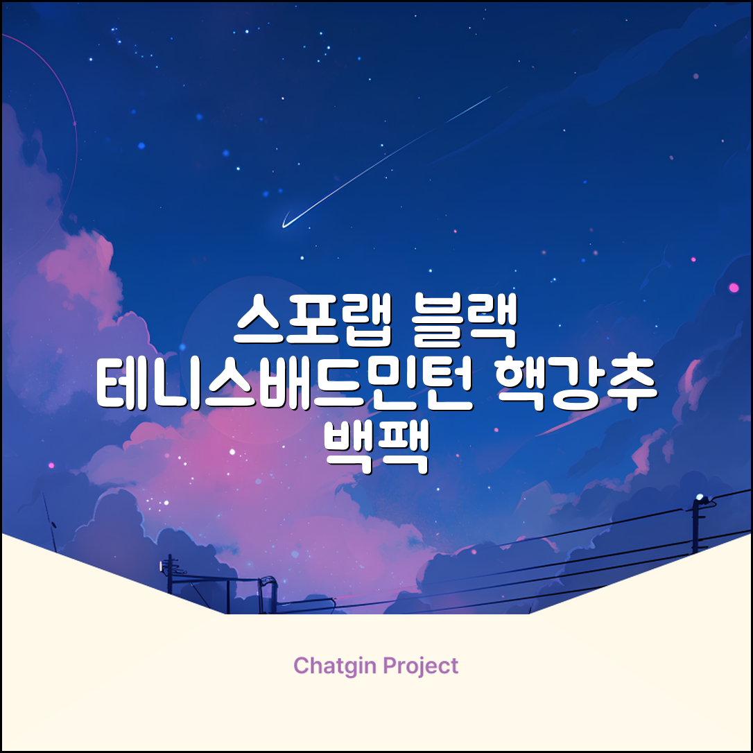 스포랩 테니스 가방 배드민턴 백팩, 블랙, 1개 추천 리뷰