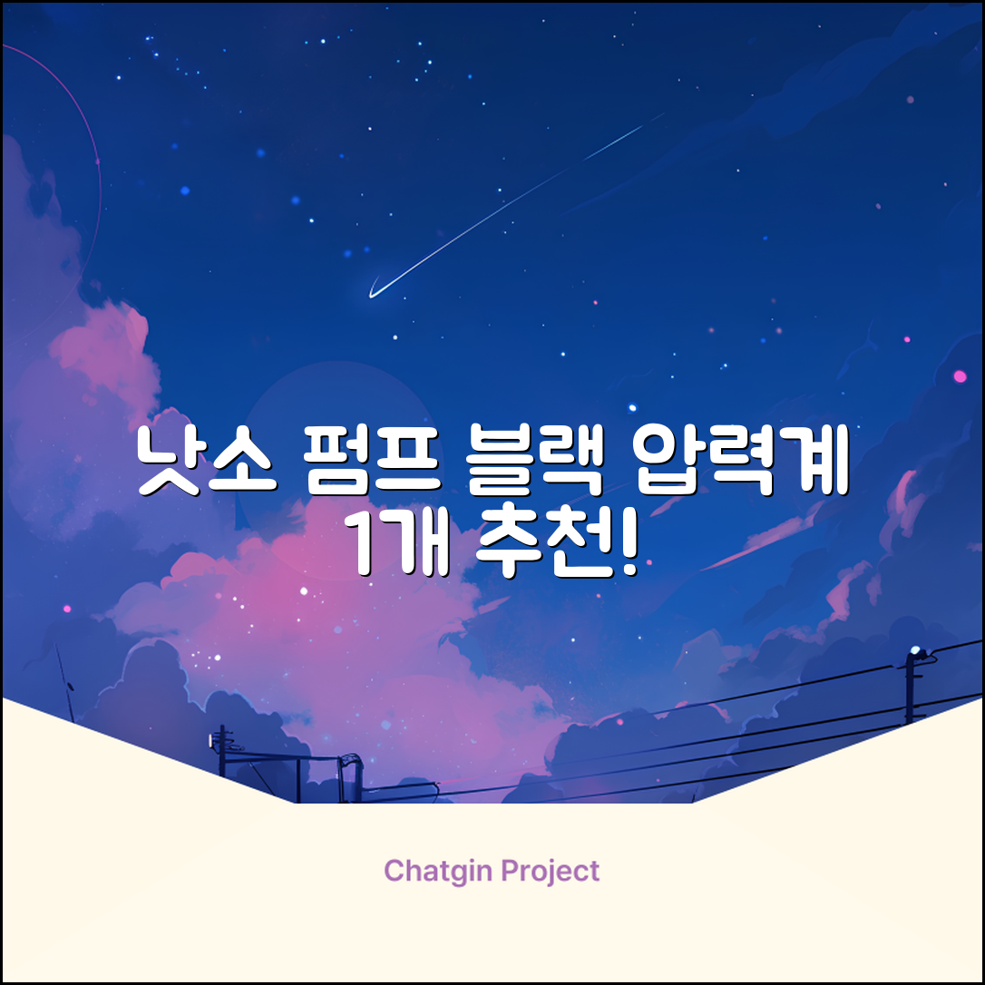 낫소 양방향 압력게이지 펌프, 블랙, 1개 추천 리뷰