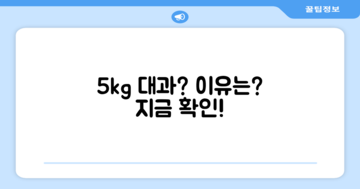 5kg 대과, 왜 추천할까?