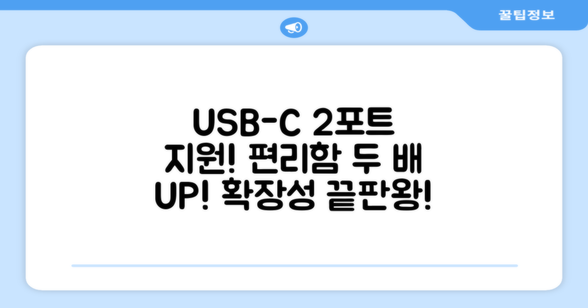 2개의 USB-C 포트 지원
