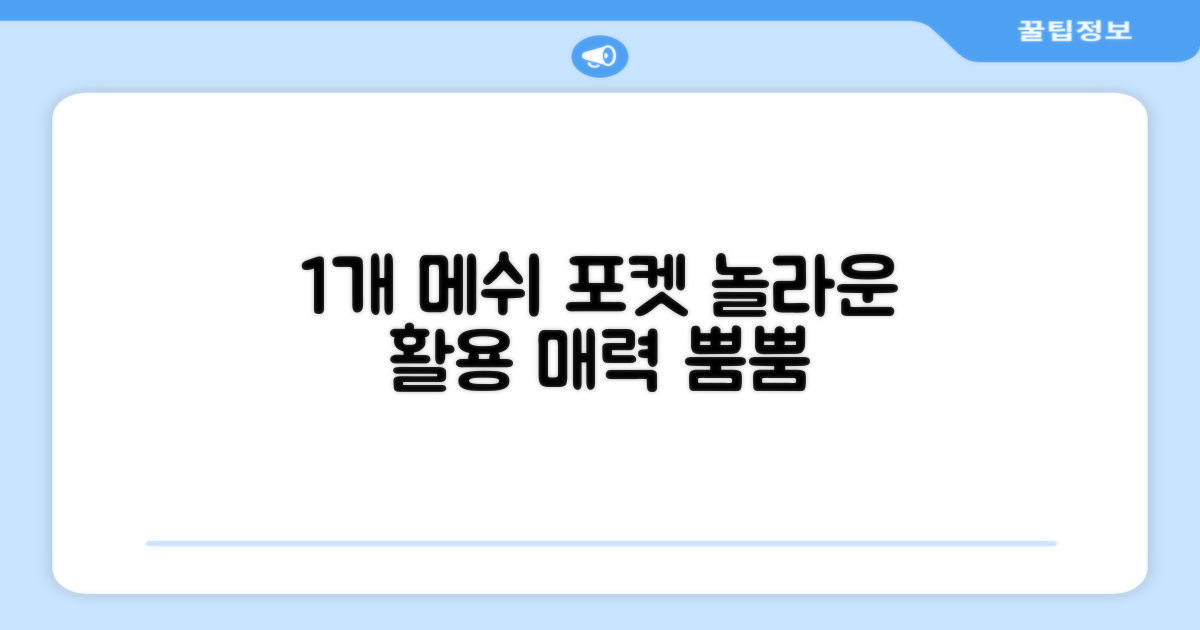 1개 메쉬 포켓 활용