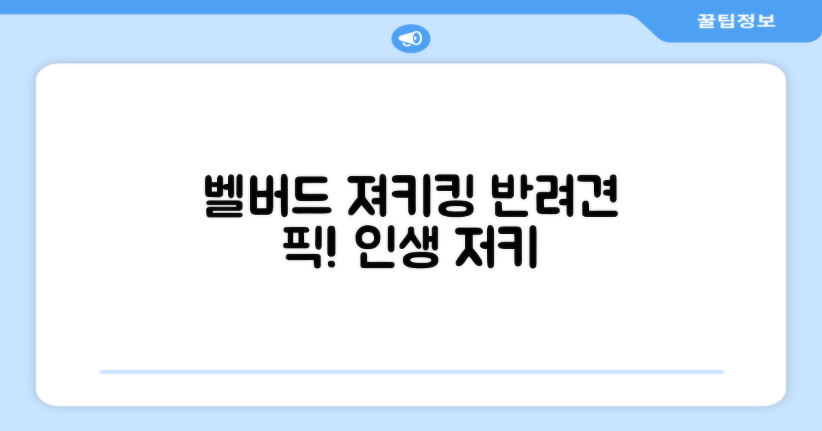 벨버드 져키킹, 반려견 픽