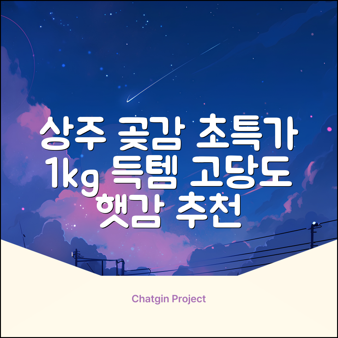 상주 곶감 초특가 1kg 고당도 햇감, 1개 추천 리뷰