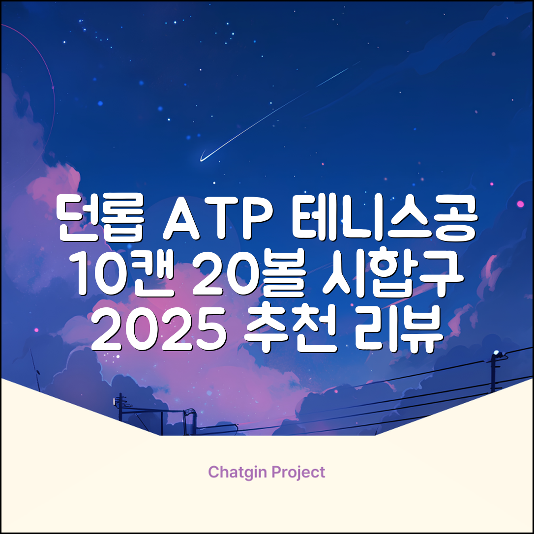 2025 던롭 ATP 테니스공 10캔 (20볼) 시합구, 던롭 ATP볼 10캔 (20볼), 10세트 추천 리뷰