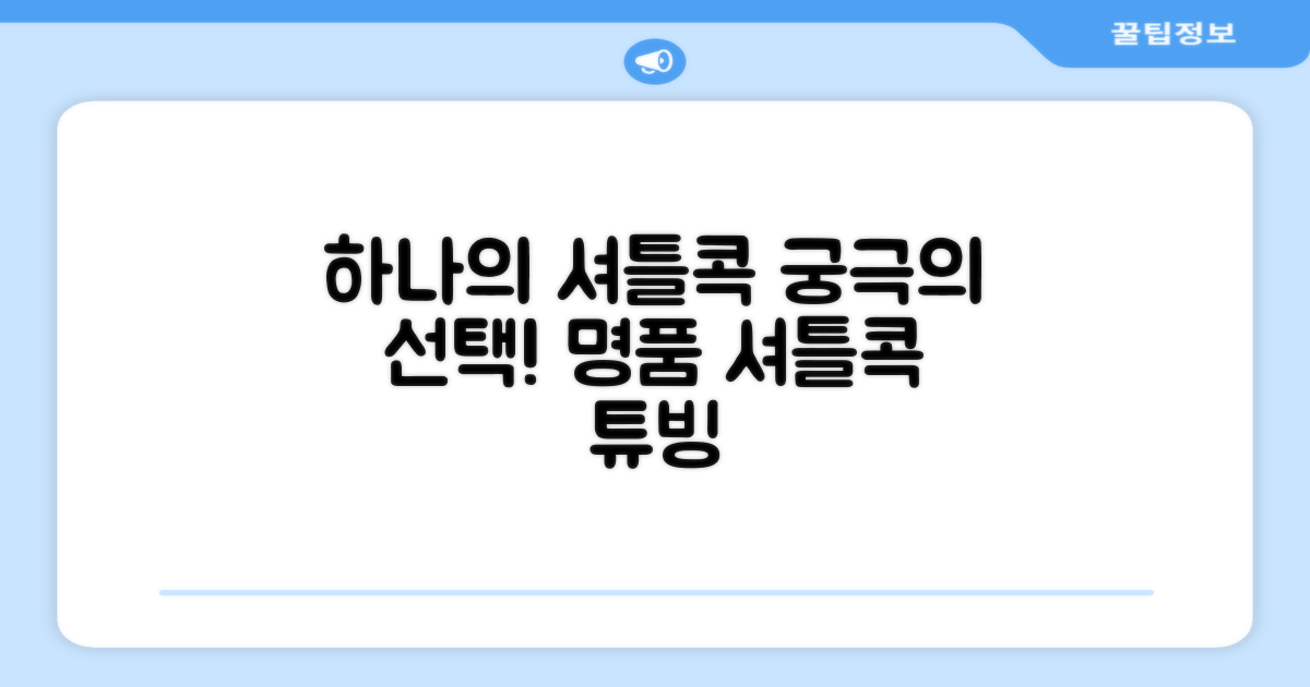 셔틀콕 튜브 1개입 추천