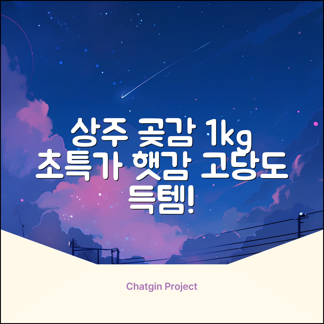 상주 곶감 초특가 1kg 고당도 햇감, 1개 추천 리뷰