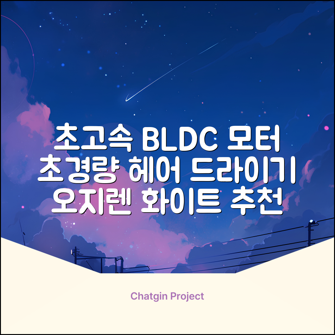 오지렌 초고속 고출력 초경량 음이온 BLDC 모터 헤어 드라이기, 화이트 추천 리뷰