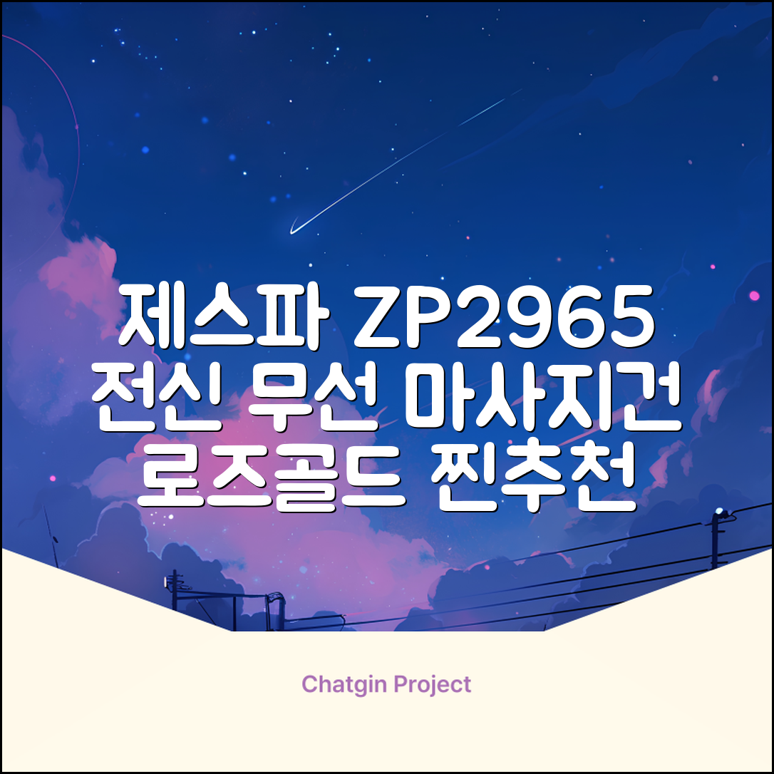제스파 클래식 전신 무선 자동 마사지건 목어깨 안마기 ZP2965, 블랙 + 로즈골드 추천 리뷰