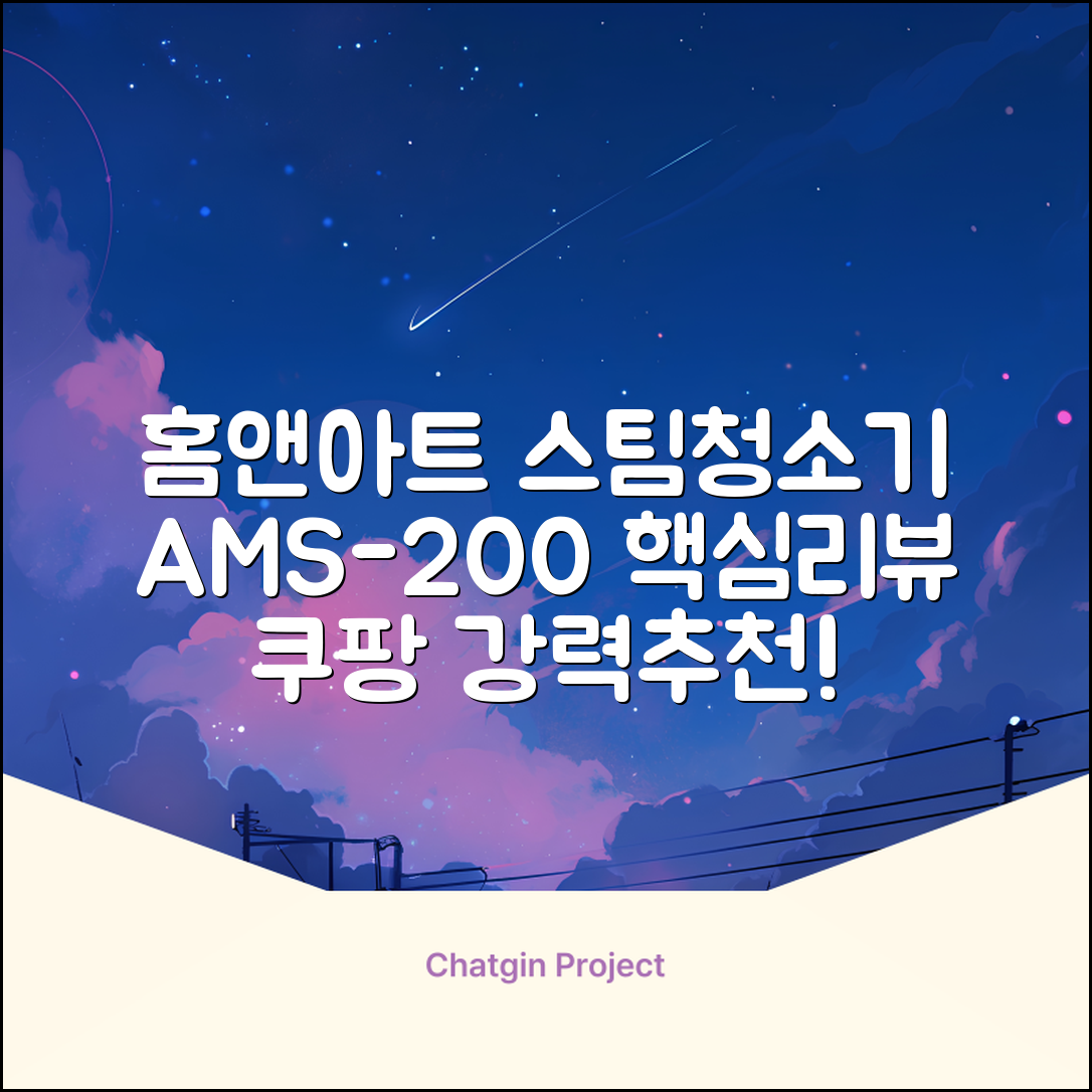 홈앤아트 퓨어 스팀청소기 AMS-200 추천 리뷰