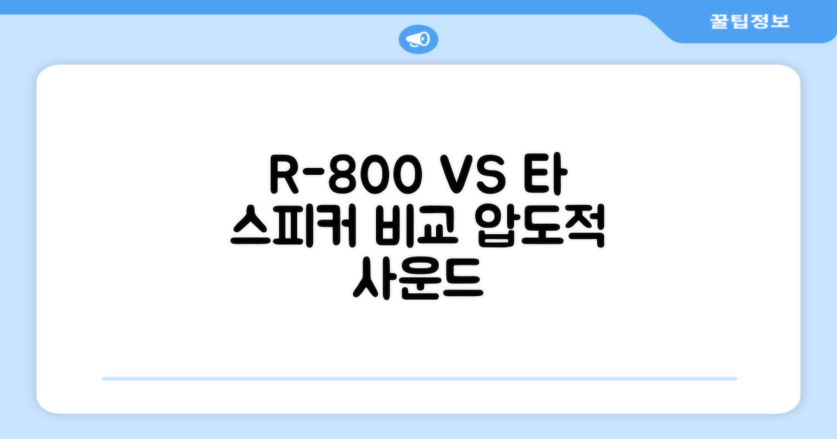 R-800 vs 타 스피커