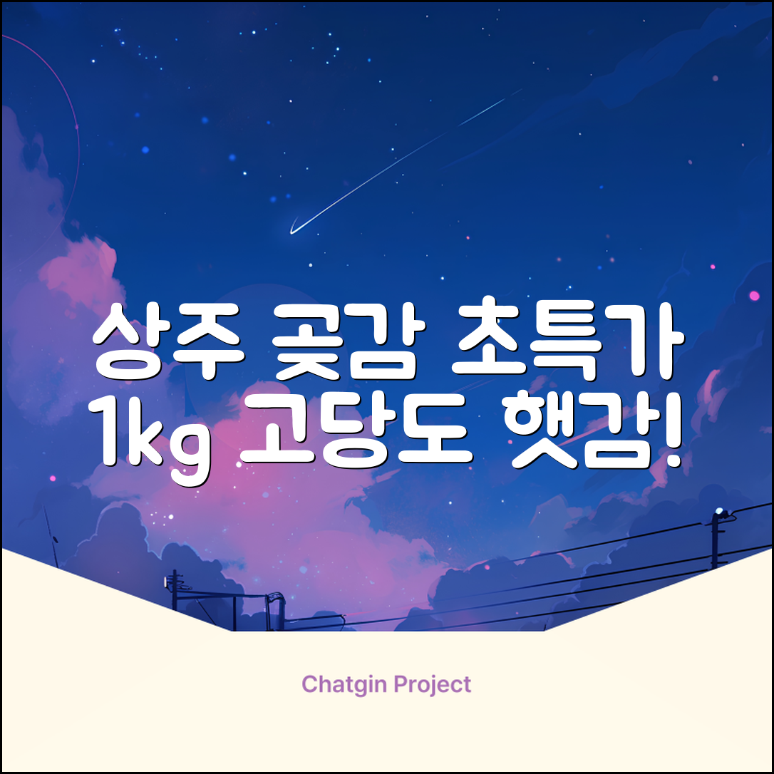 상주 곶감 초특가 1kg 고당도 햇감, 1개 추천 리뷰