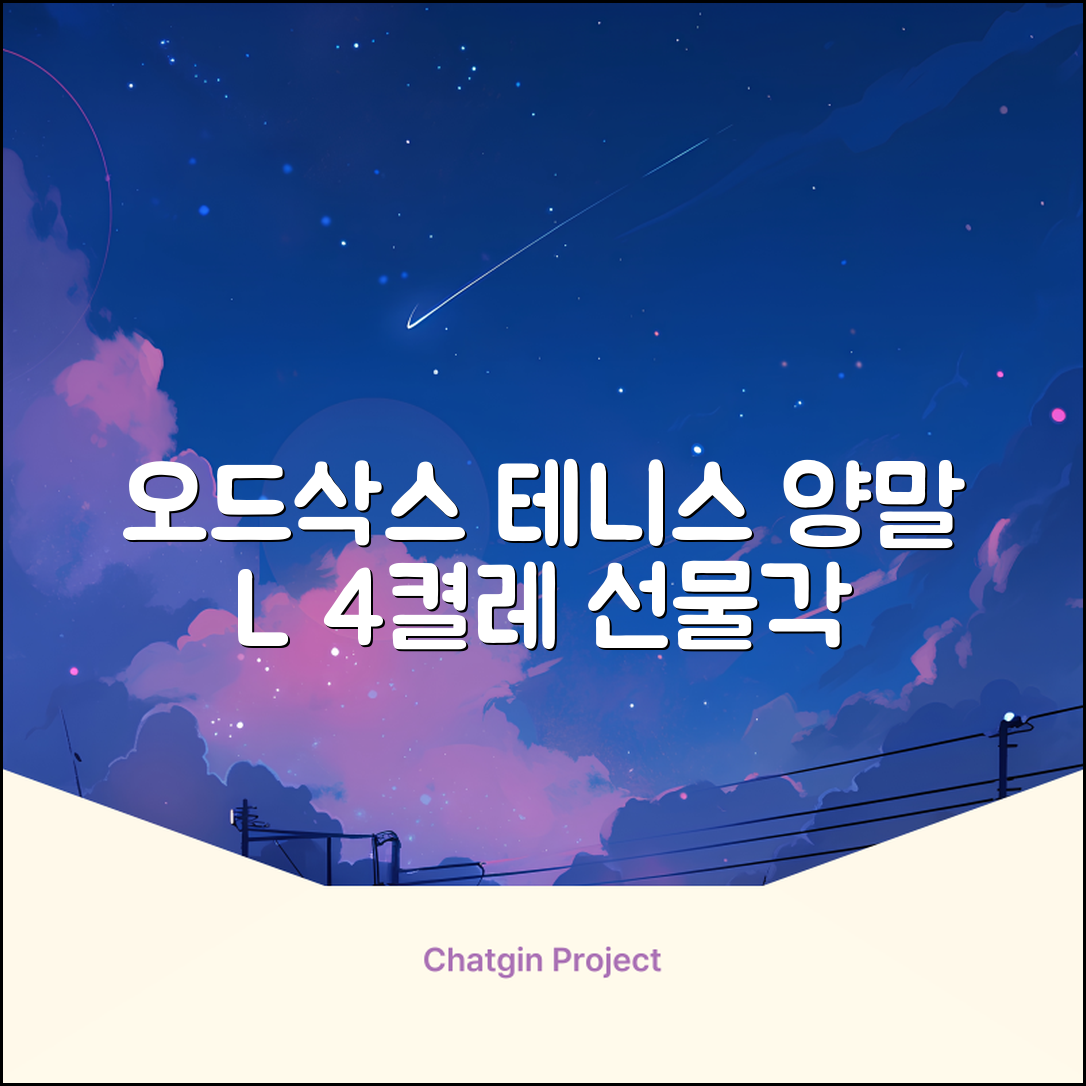 [오드삭스] 테니스 양말 세트B 4켤레 선물용, L(255mm-275mm), 1개 추천 리뷰
