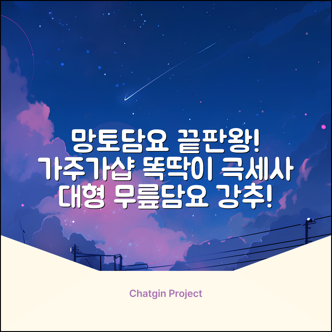 가주가샵 망토처럼 입을 수 있는 똑딱이 극세사 대형 무릎담요 추천 리뷰